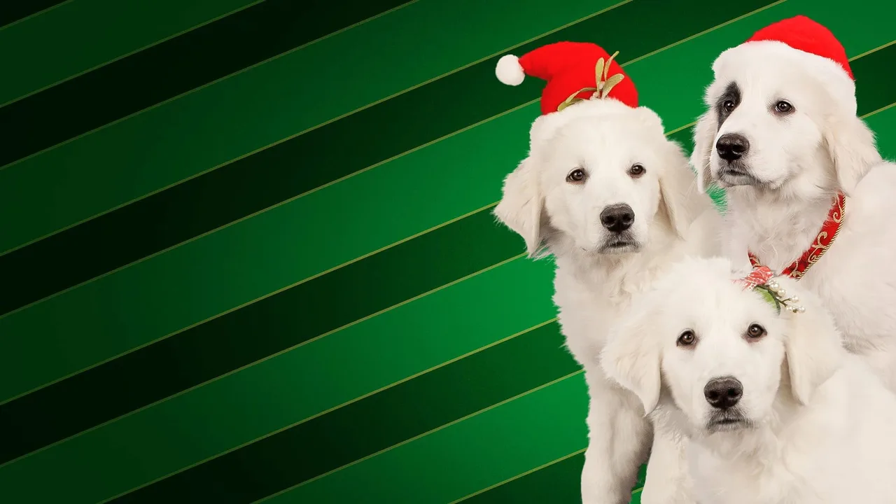 Santa Buddies (2009)