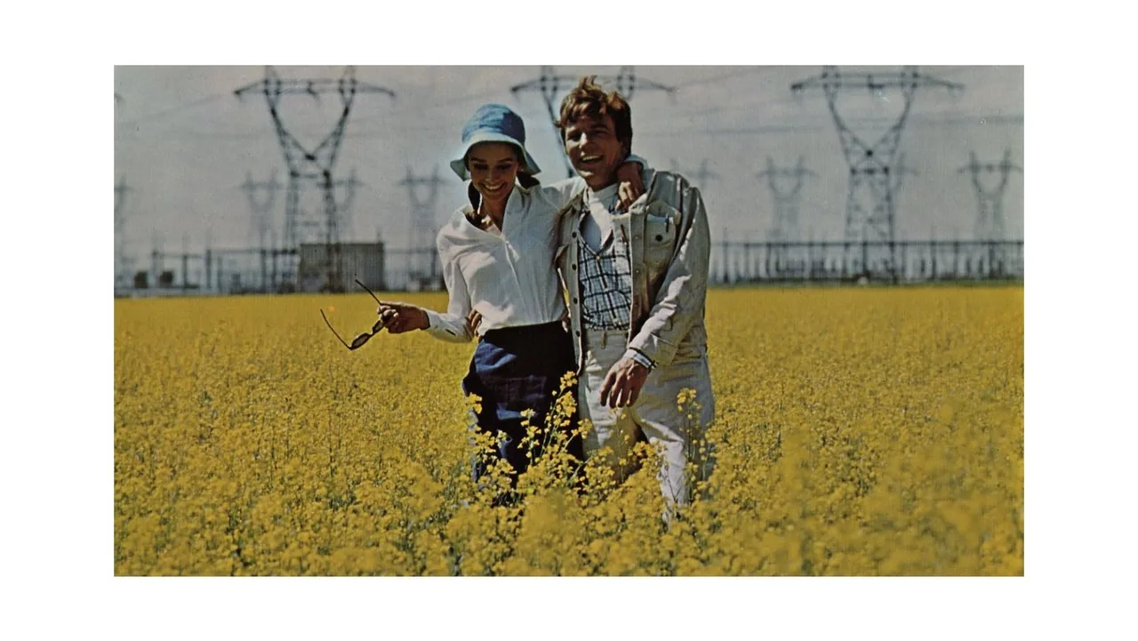 Two for the Road (1967)