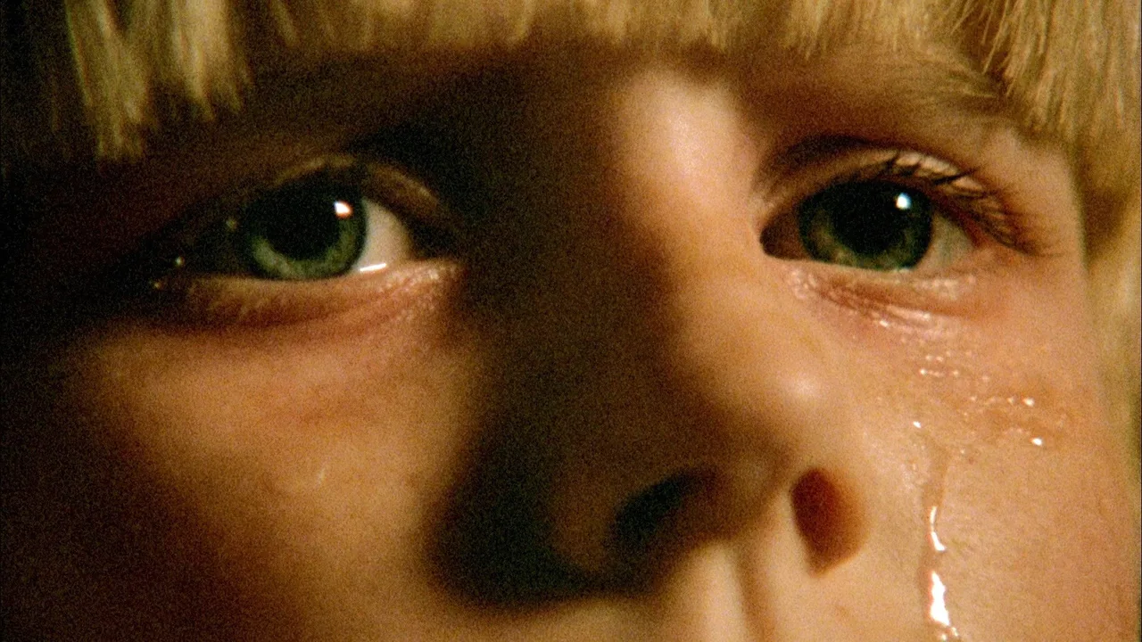 The Brood (1979)