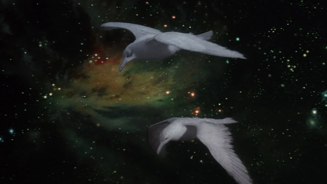 Jonathan Livingston Seagull (1973)