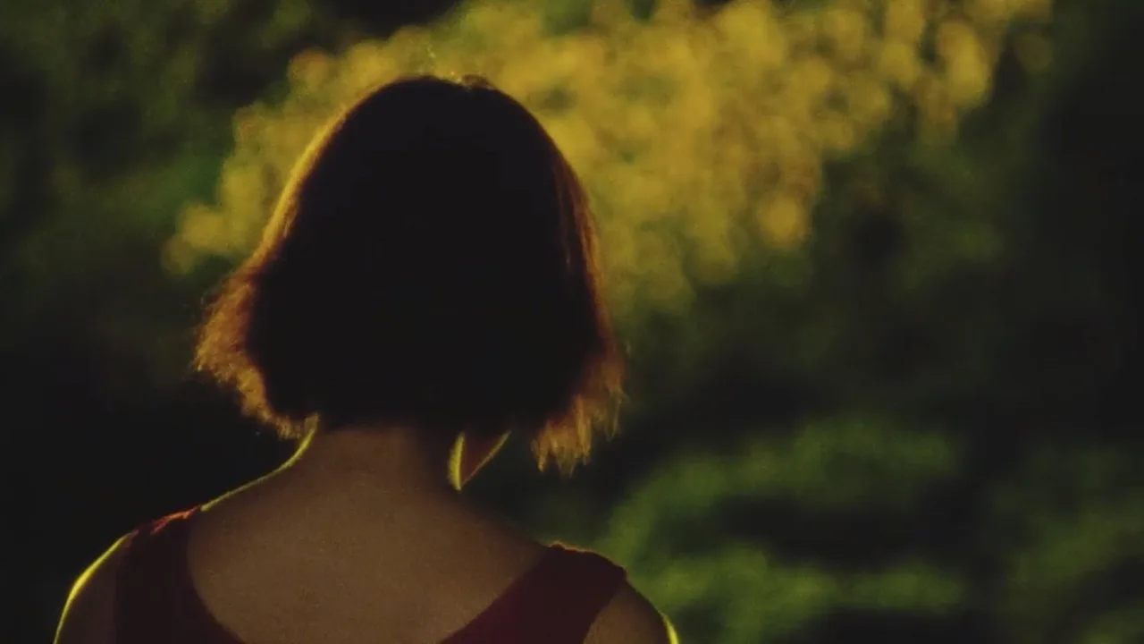 Sunflower (2000)