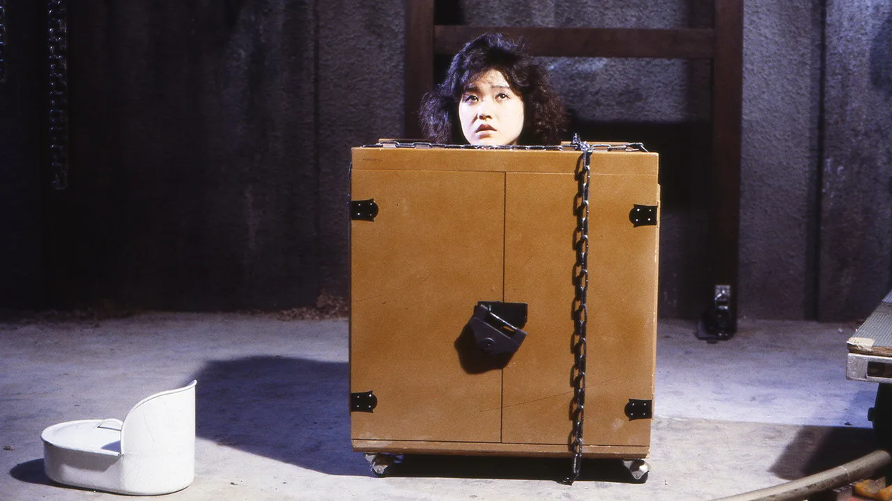 Woman in a Box: Virgin Sacrifice (1985)
