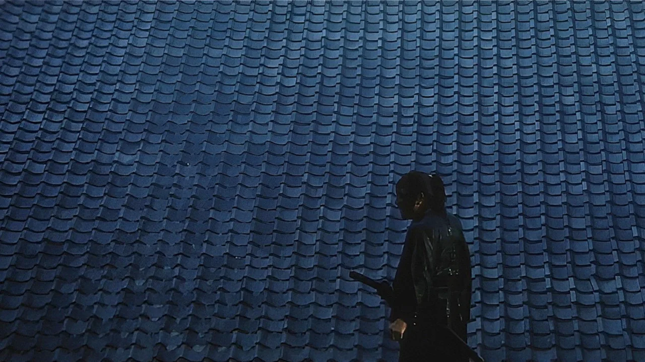 Tenchu! (1969)