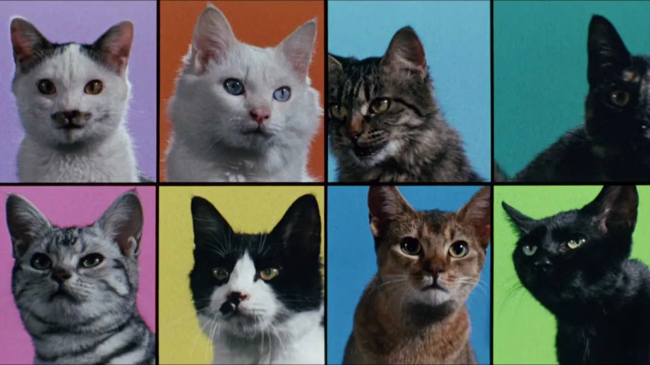 Cats on Park Avenue (1989)