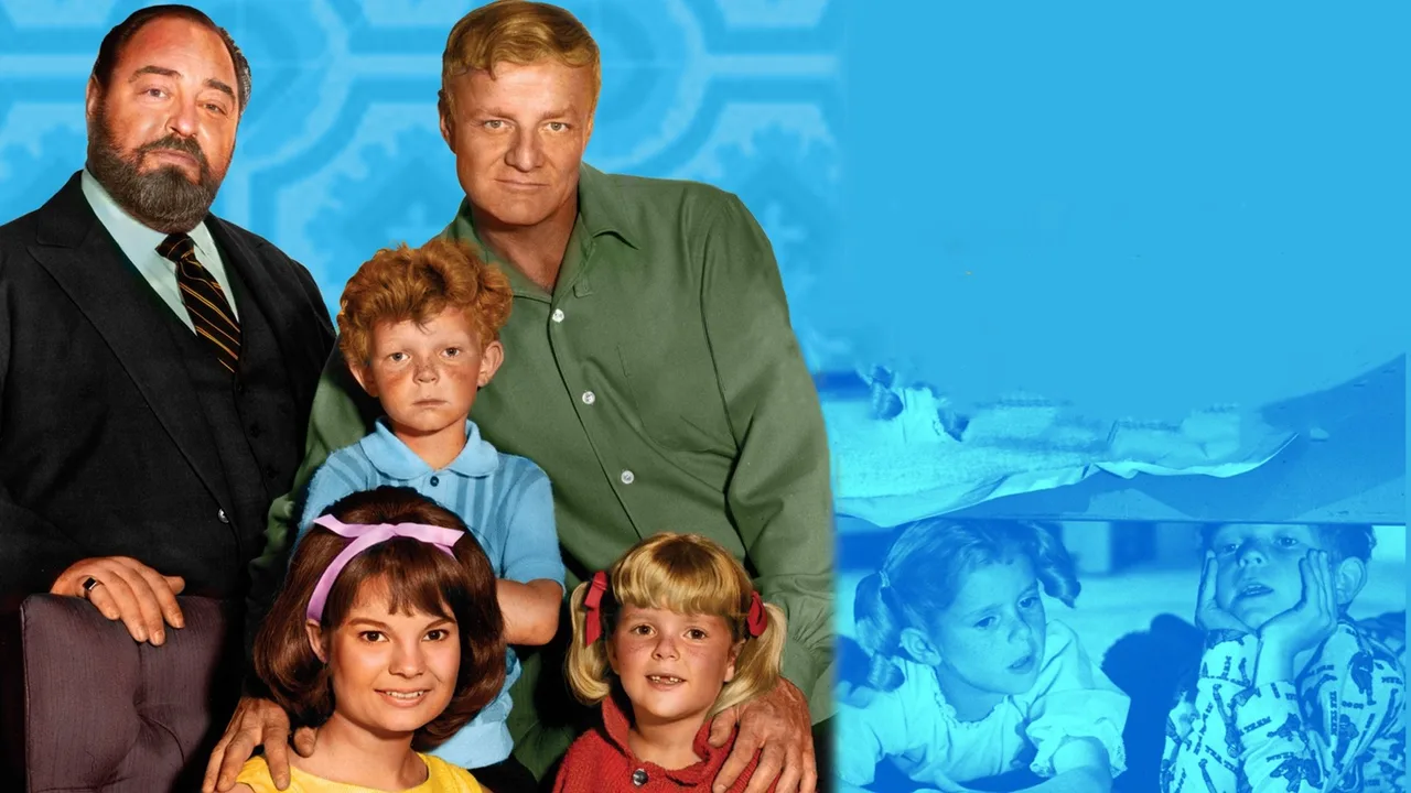 Family Affair (1966)