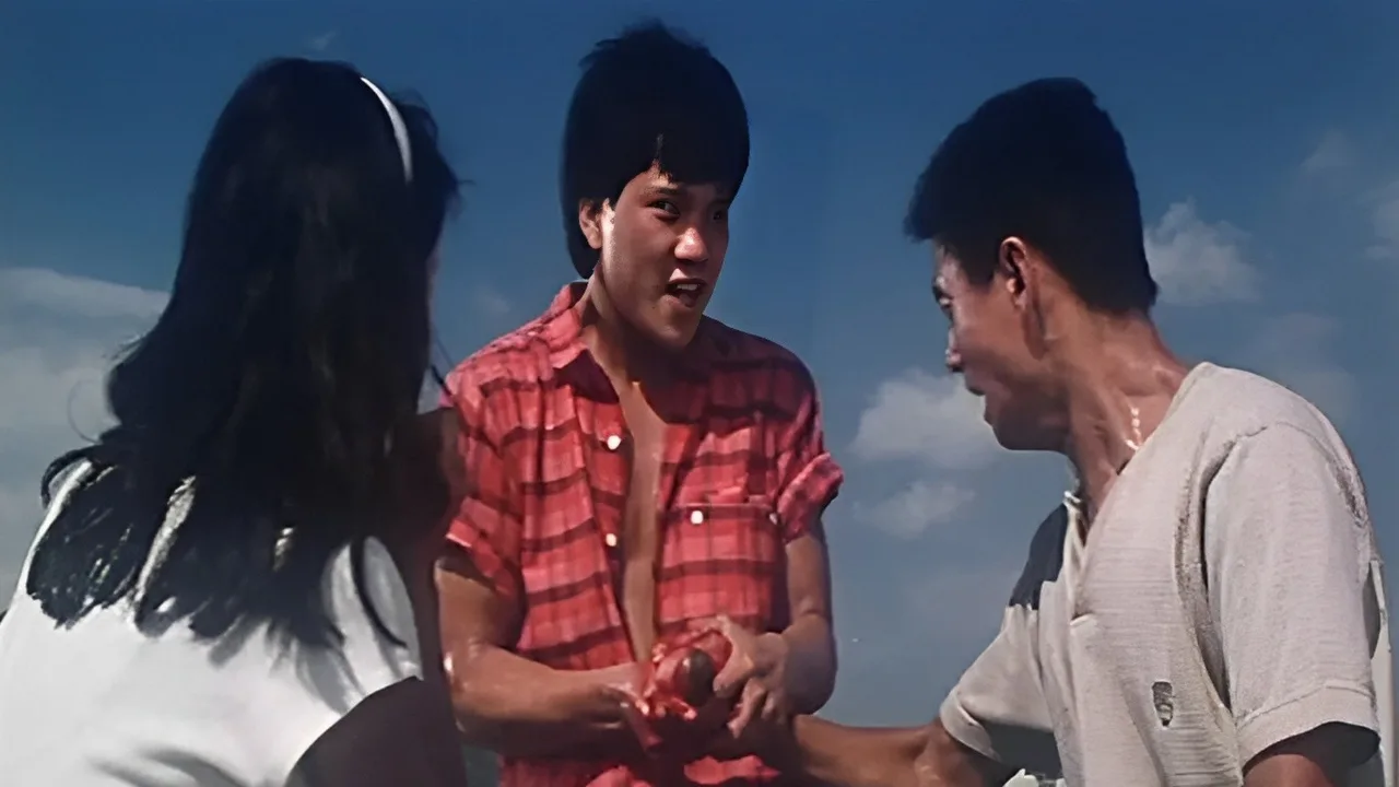 Flirting (1988)