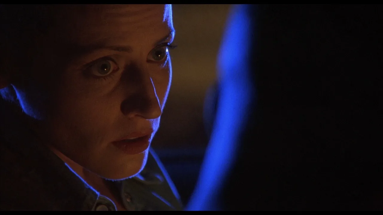 The Glass Shield (1994)