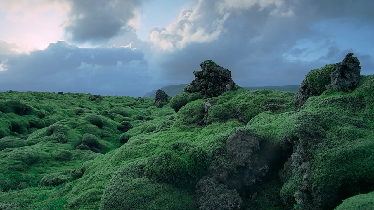 Voyage of Time: The IMAX Experience (2016)