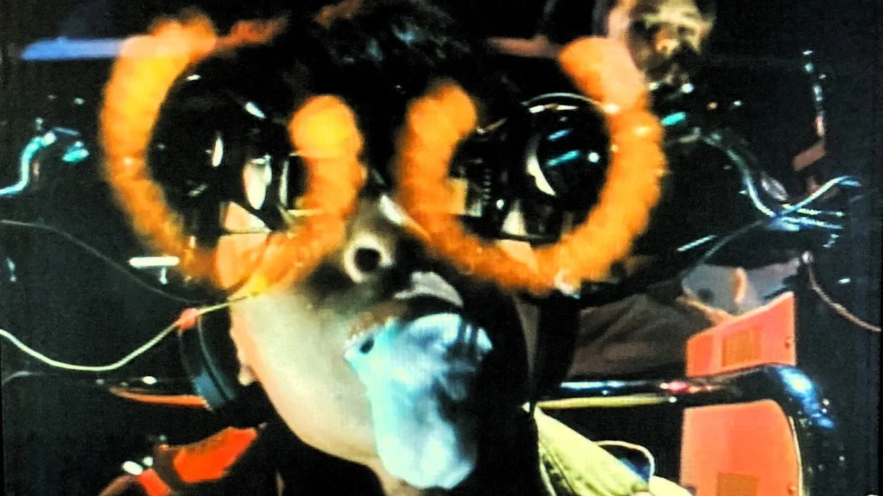 It's All Right, My Friend (1983)