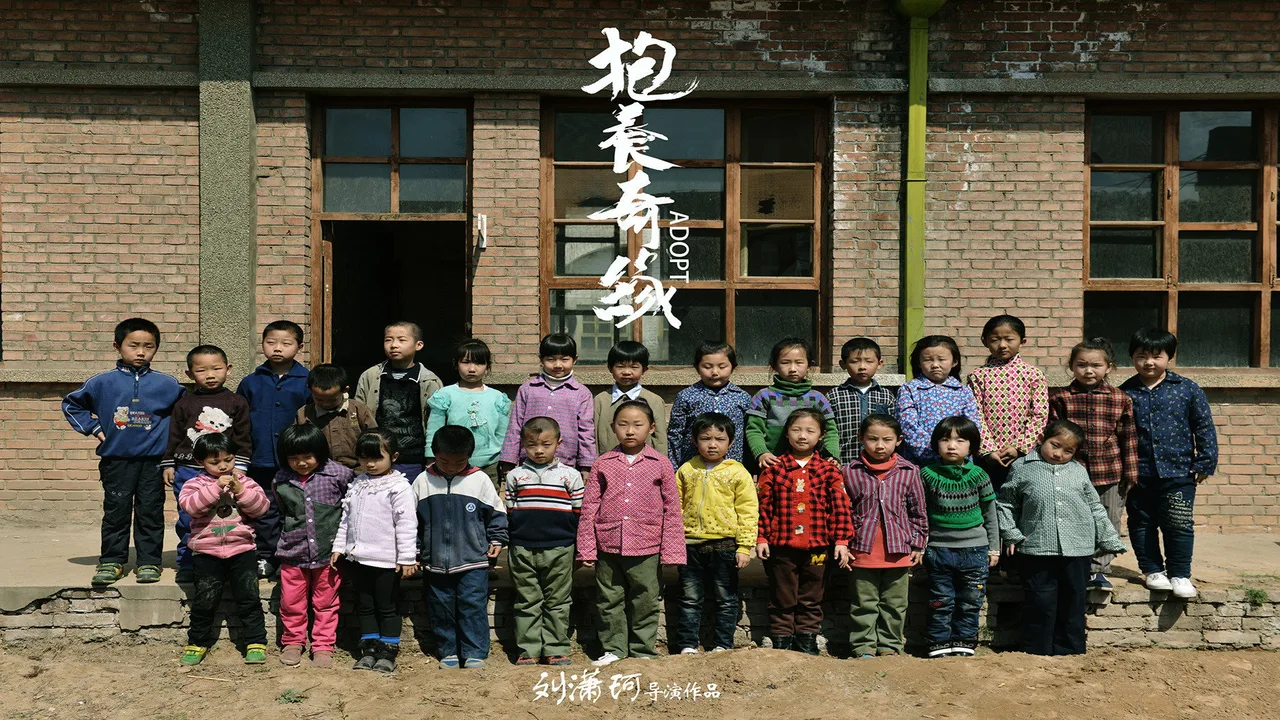 抱养奇缘 (2015)