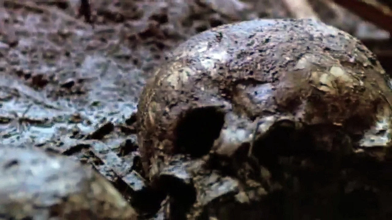 The Riverman (2004)