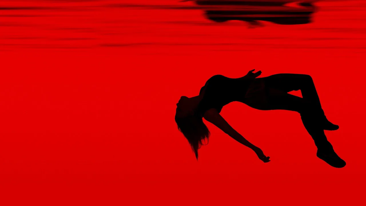 Falling Water (2016)