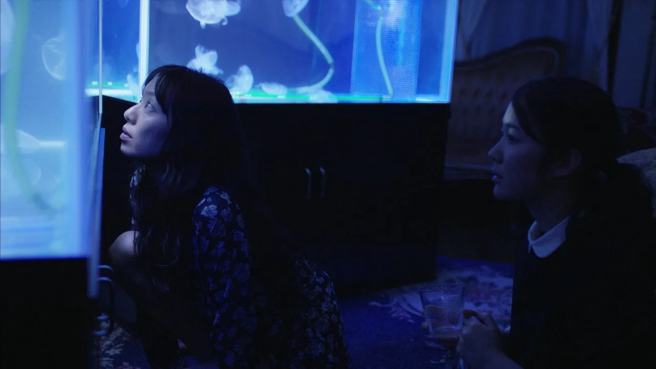A Bride for Rip Van Winkle (2016)