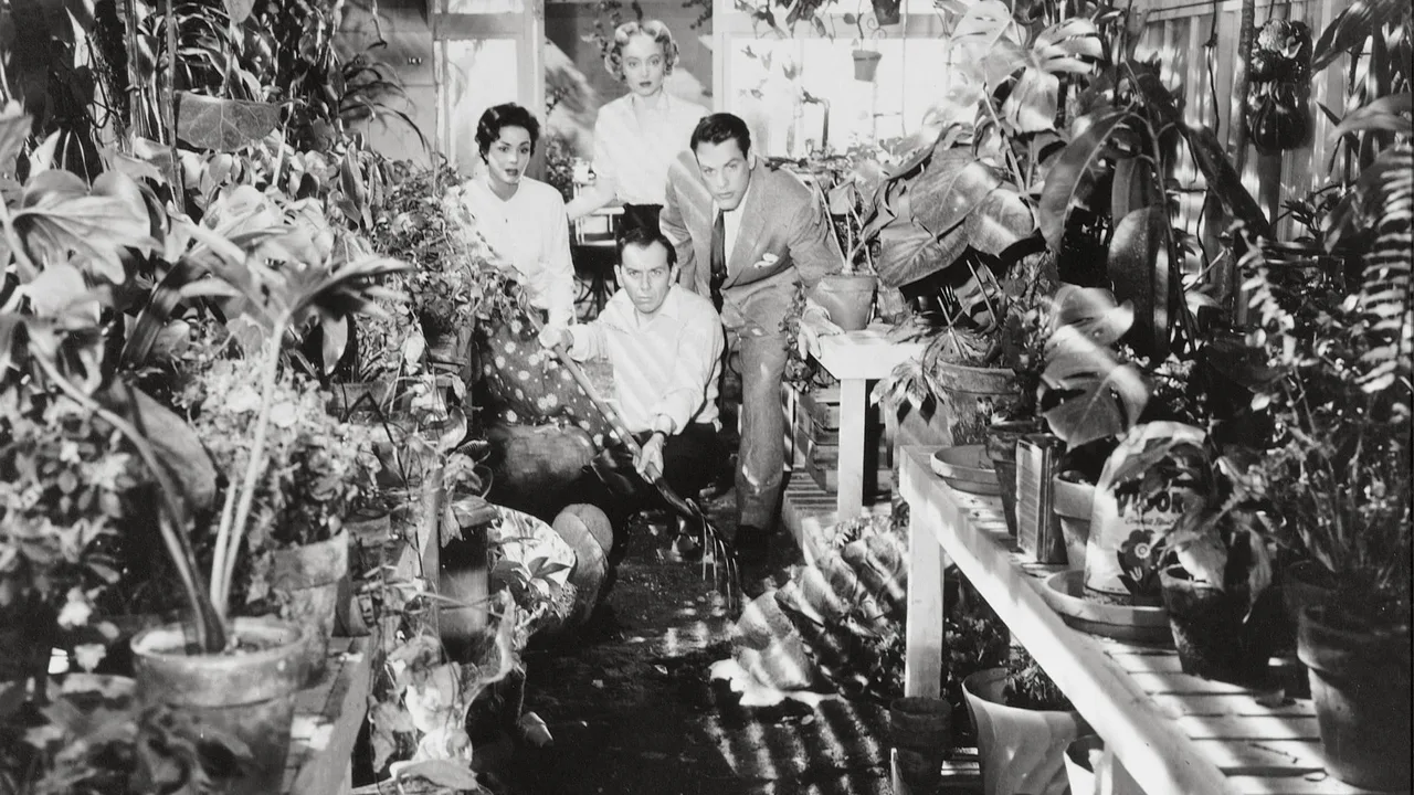 Invasion of the Body Snatchers (1956)