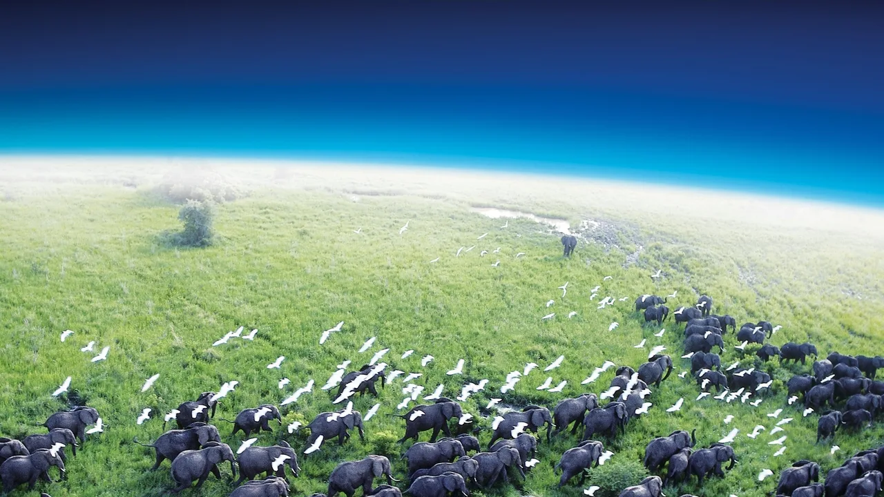 Planet Earth (2006)