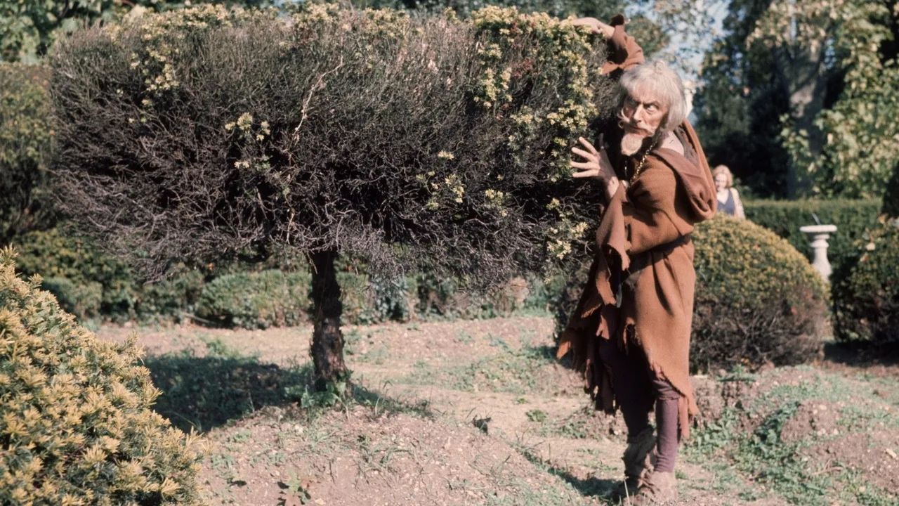 Catweazle (1970)