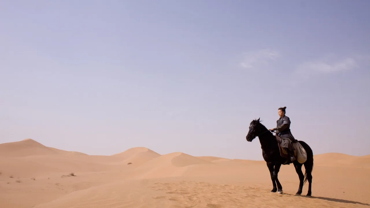 Mulan: Rise of a Warrior (2009)