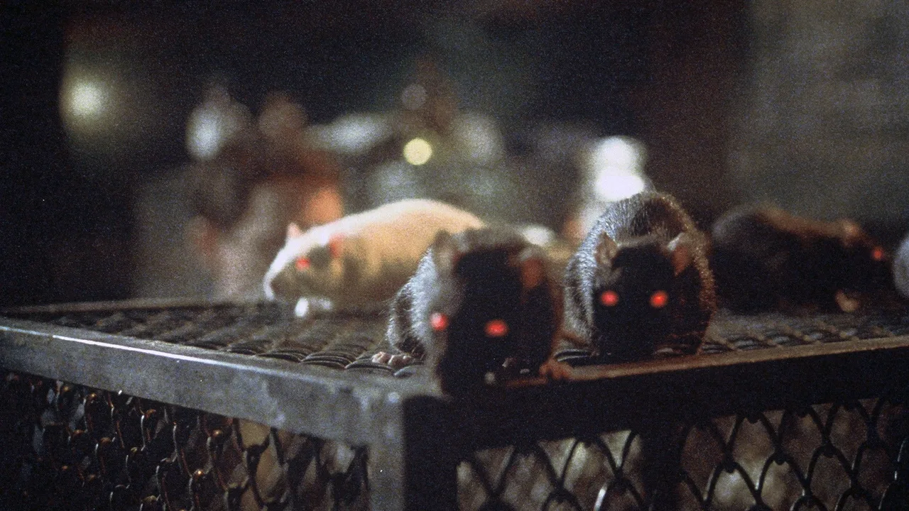 Rats: Night of Terror (1984)
