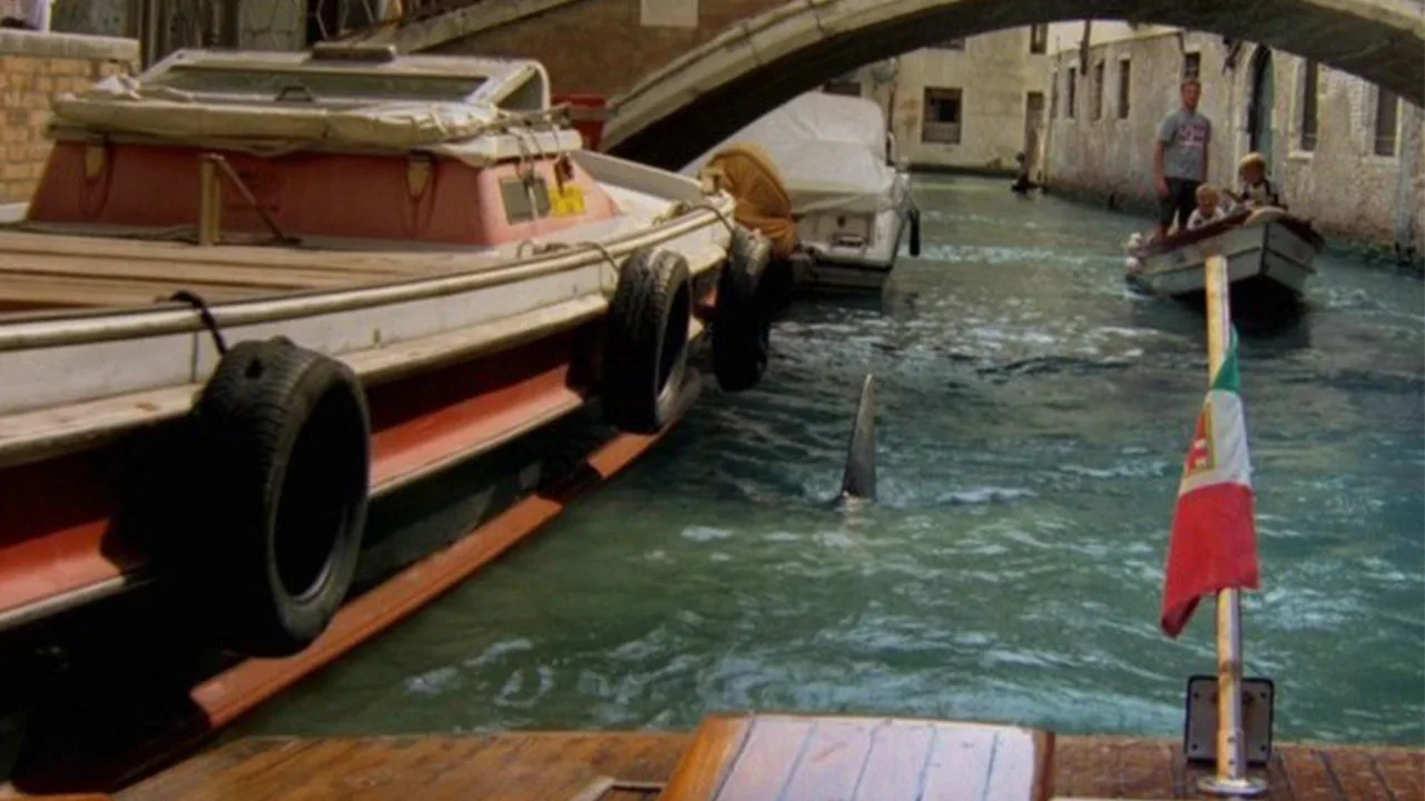 Sharks in Venice (2008)