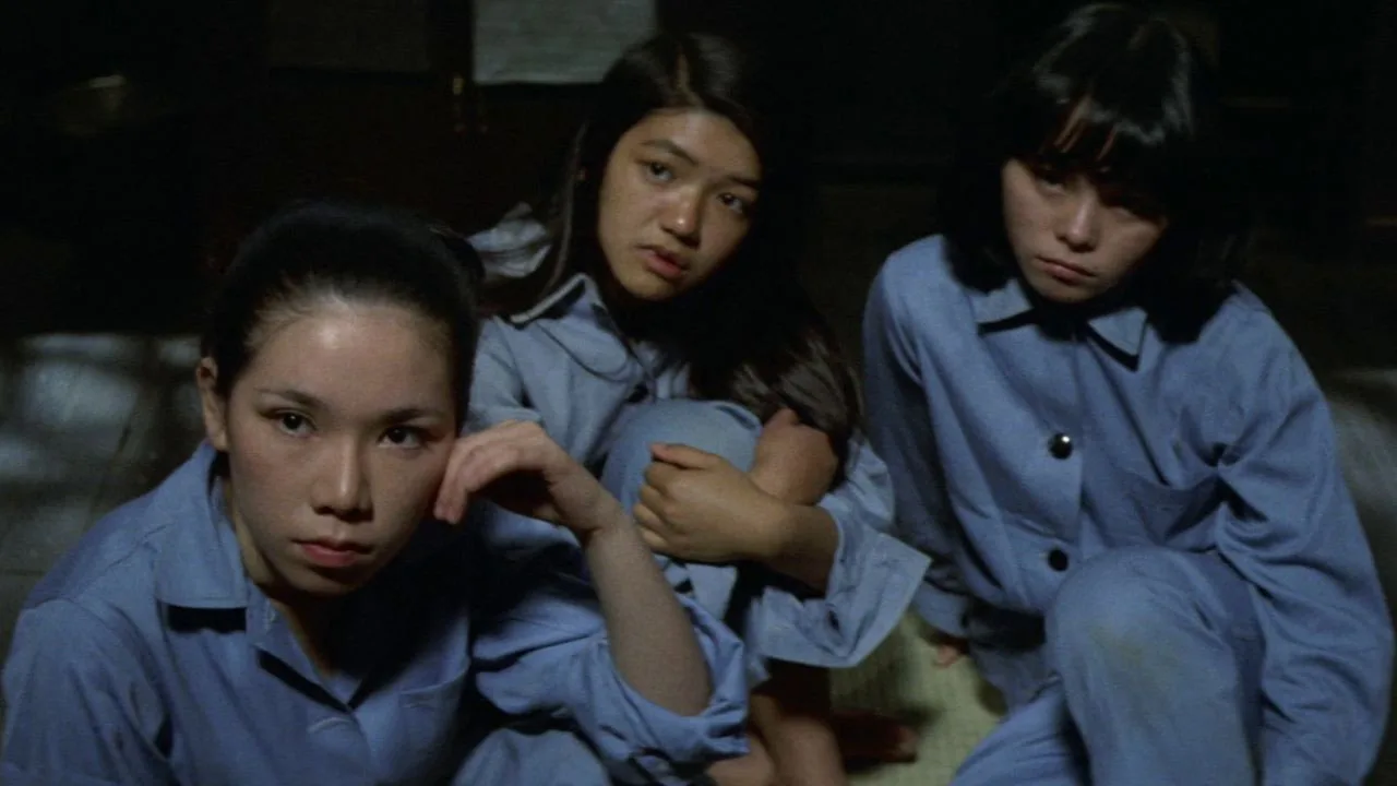 True Story of a Woman in Jail: Continues (1975)