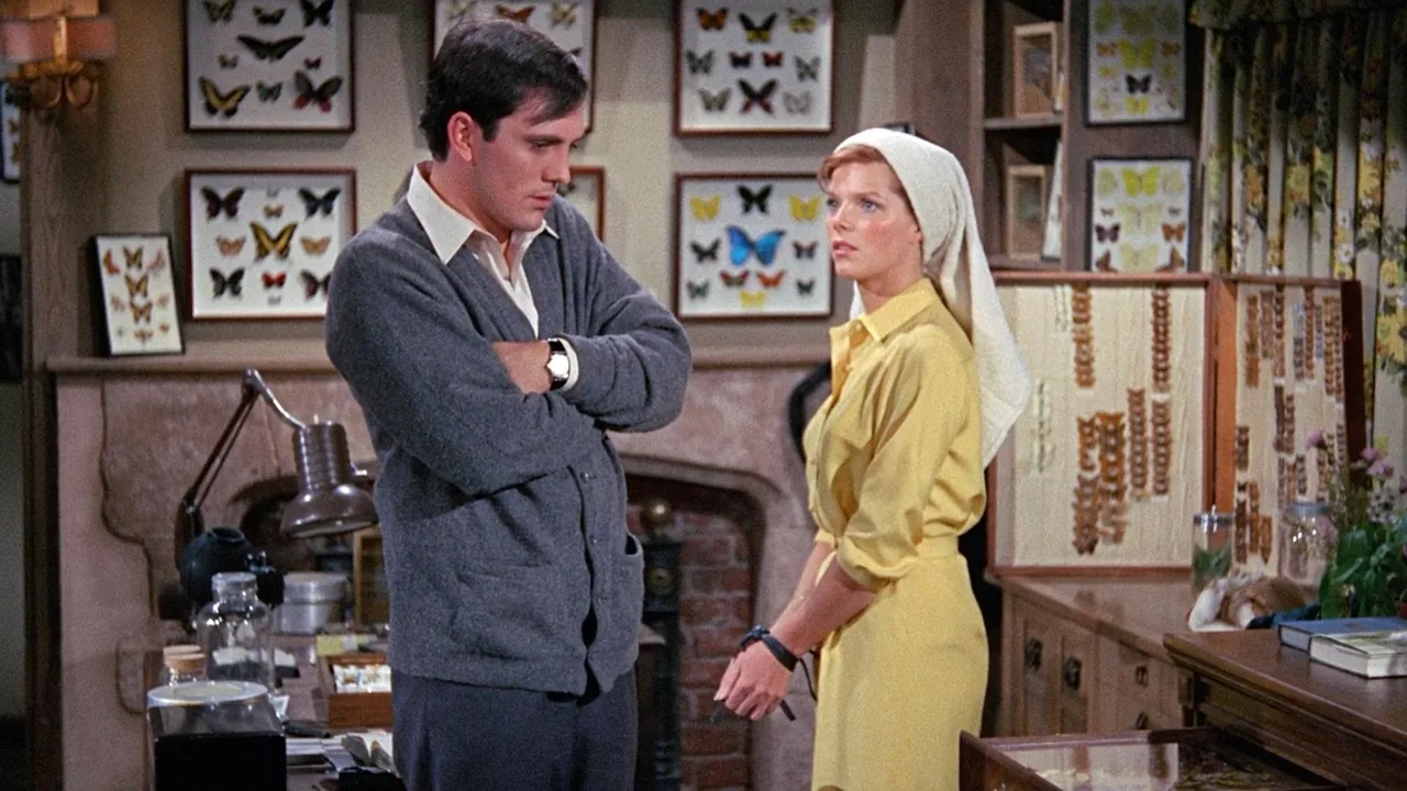 The Collector (1965)