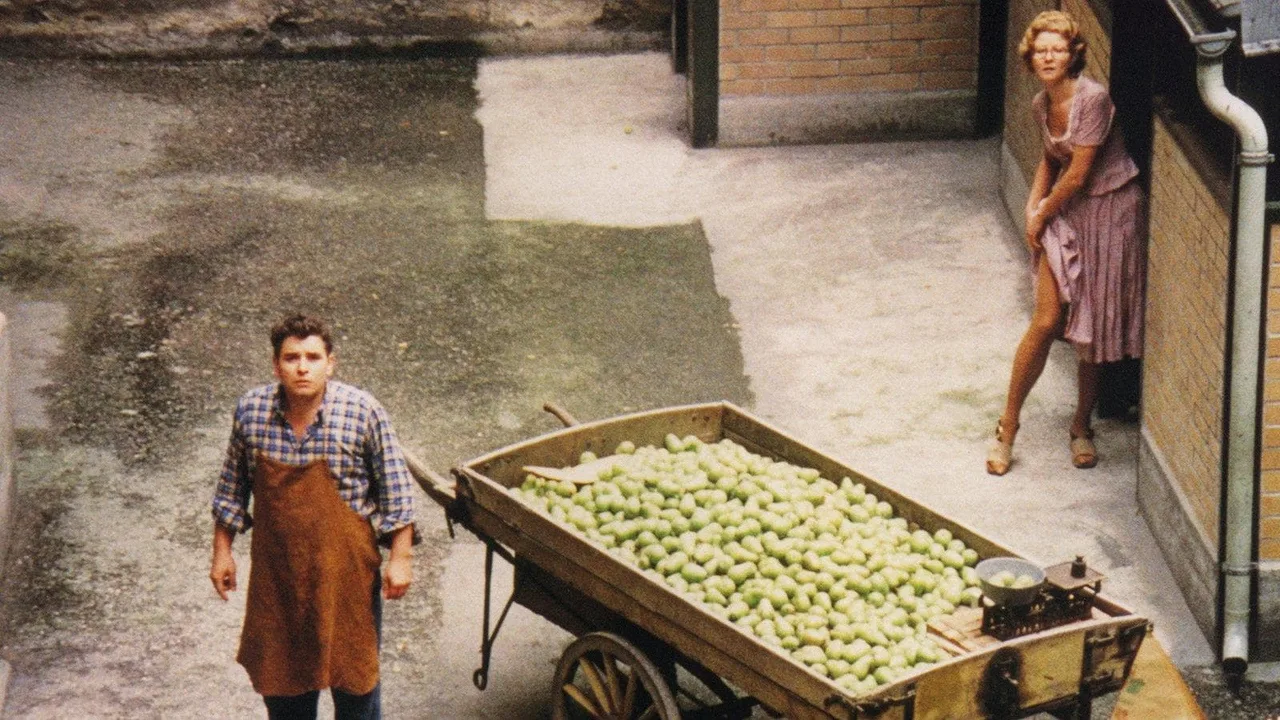 The Merchant of Four Seasons (1972)
