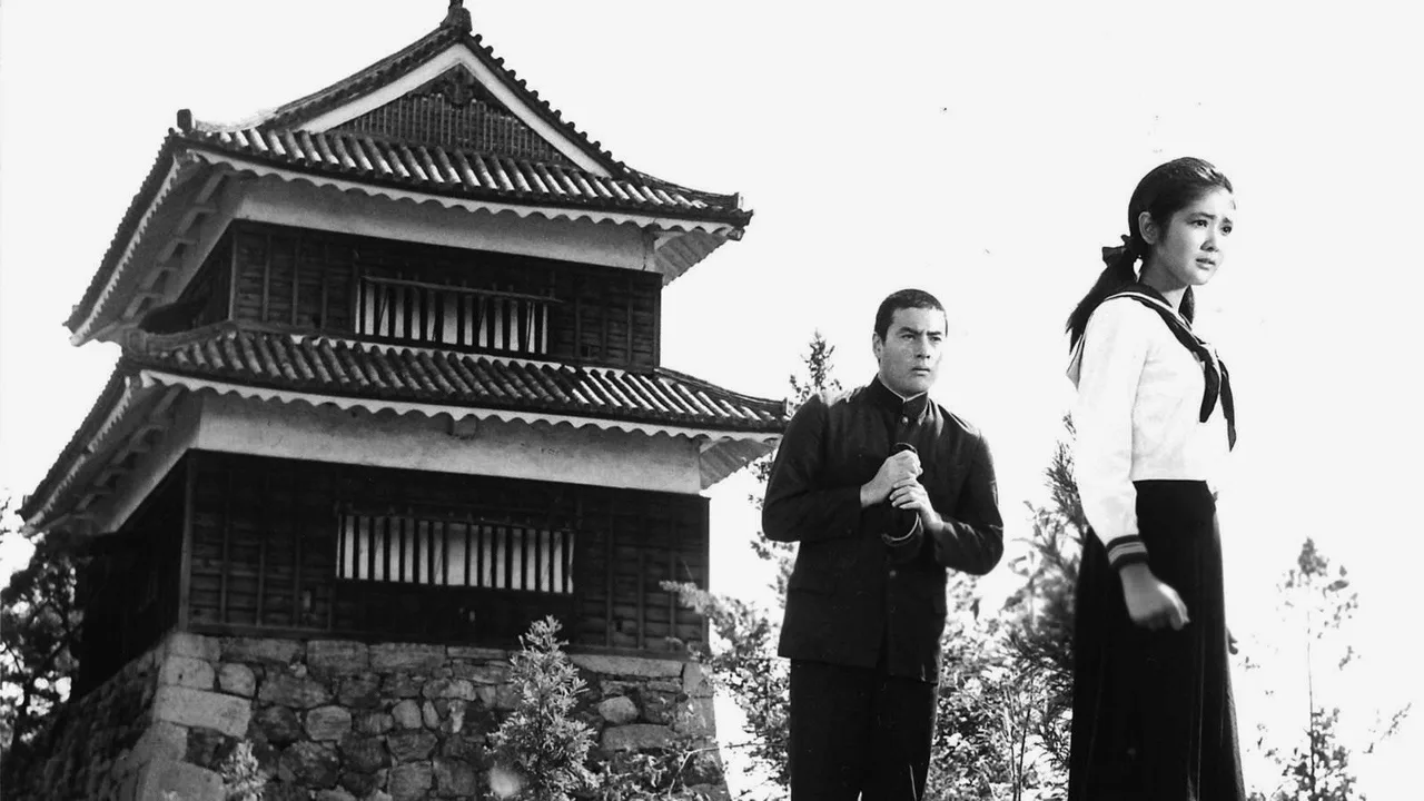 Fighting Elegy (1966)