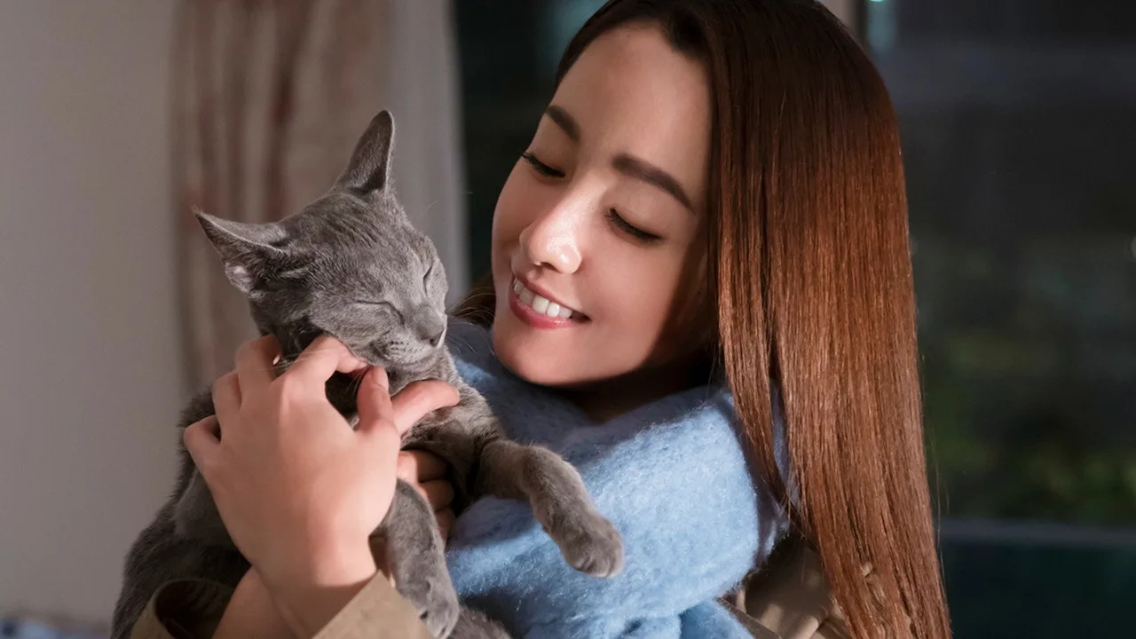 The Cat in Their Arms (2018)