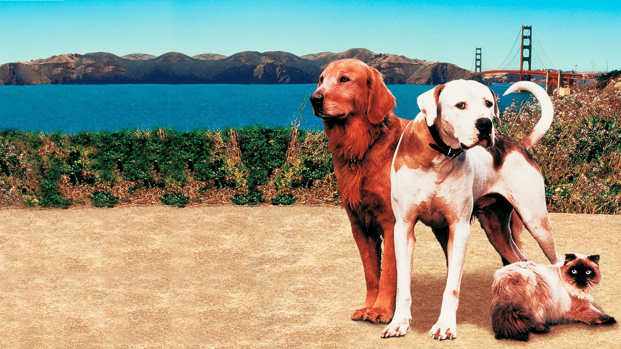 Homeward Bound II: Lost in San Francisco (1996)