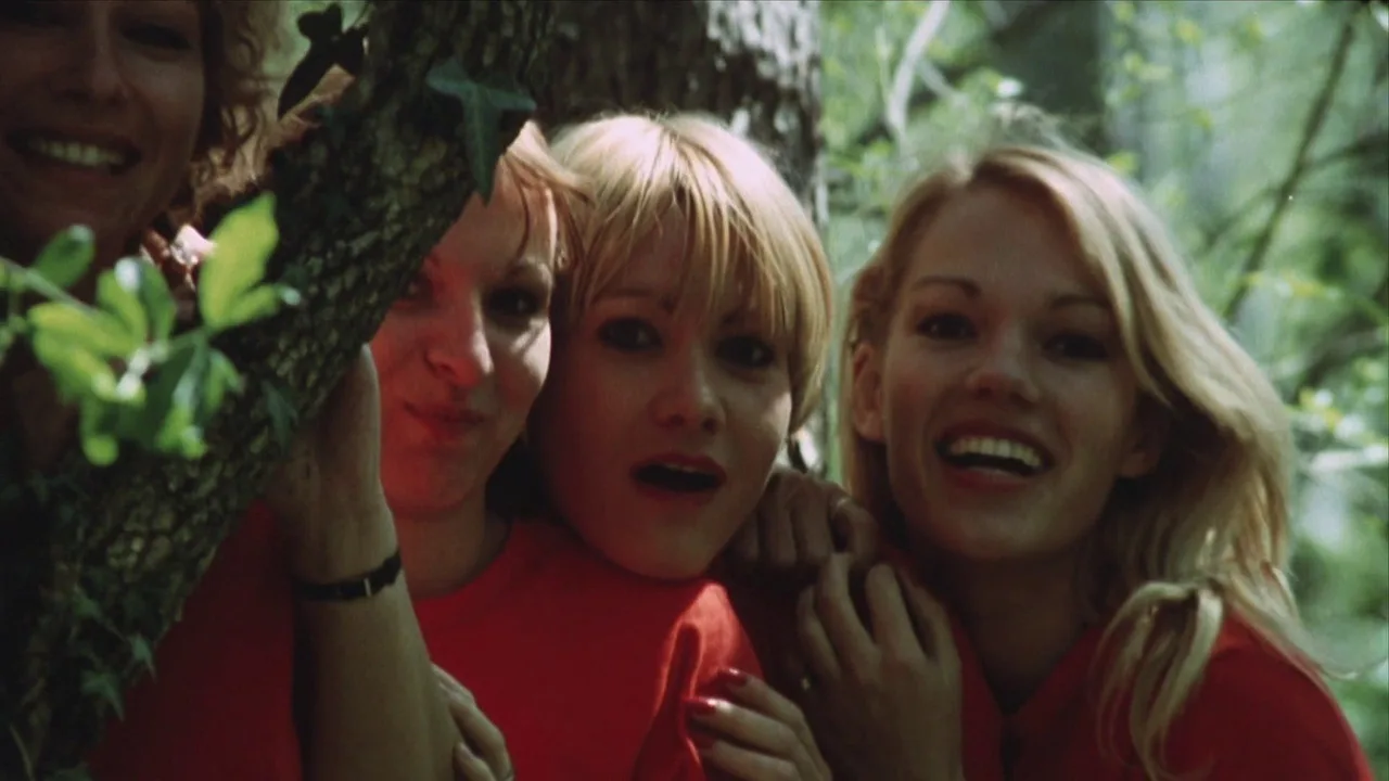 The Amorous Sisters (1980)