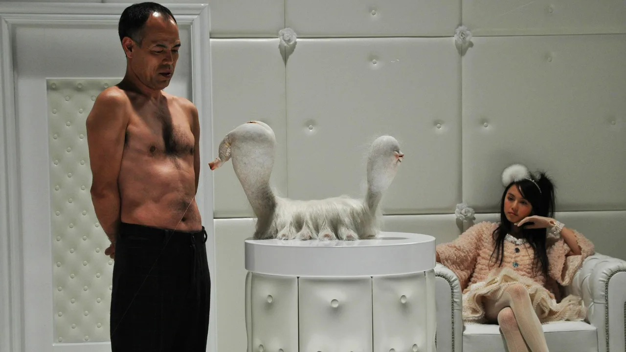The Warped Forest (2011)