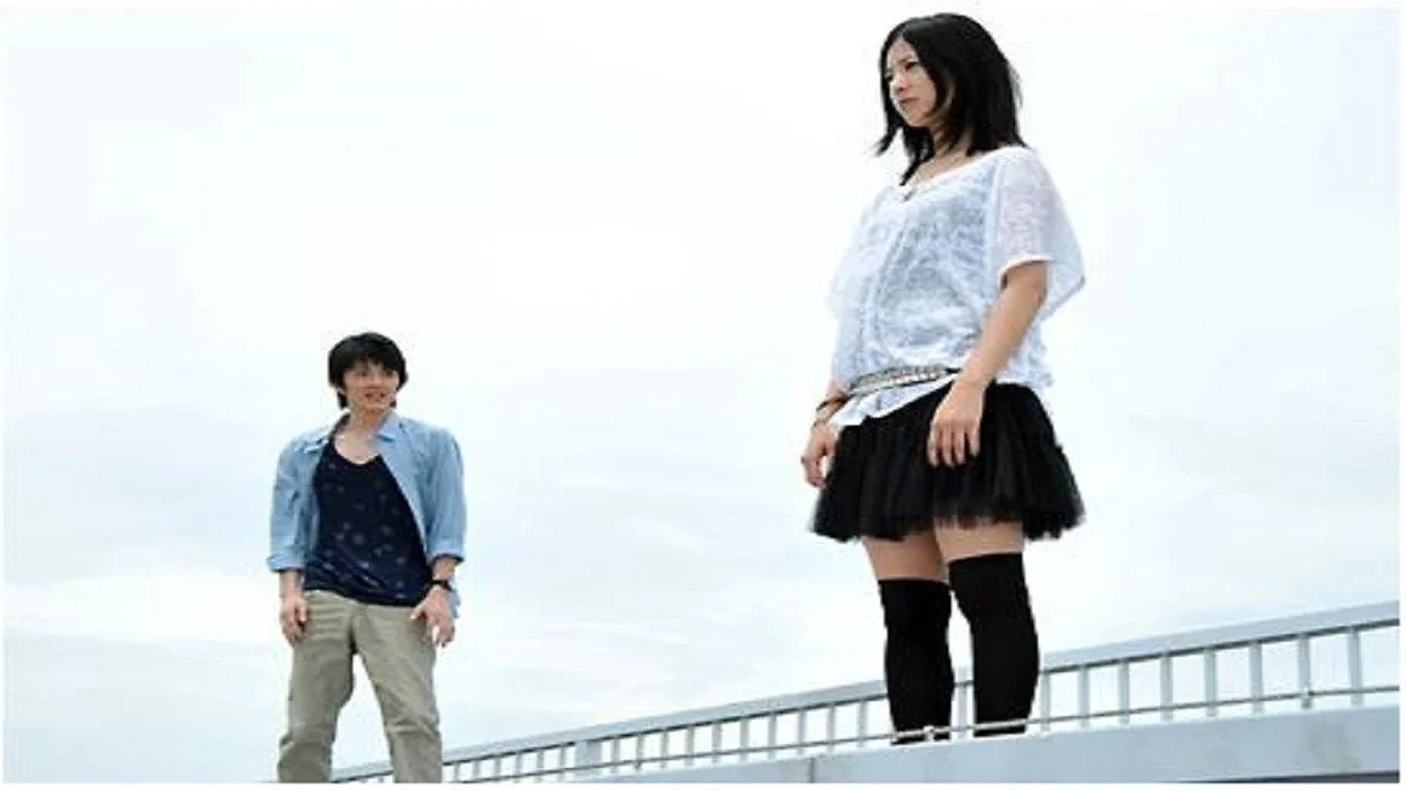 MIOKA –MY LAST DAYS WITH YOU– (2010)