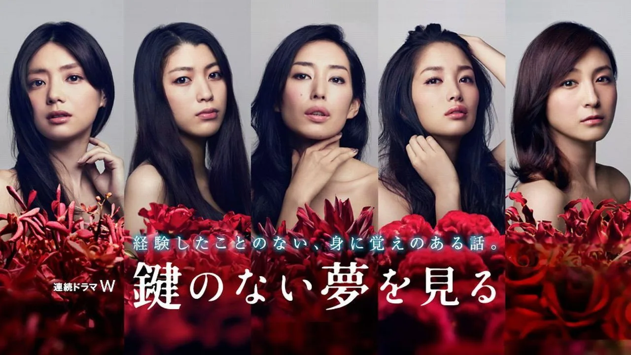 Kagi no nai Yume wo Miru (2013)
