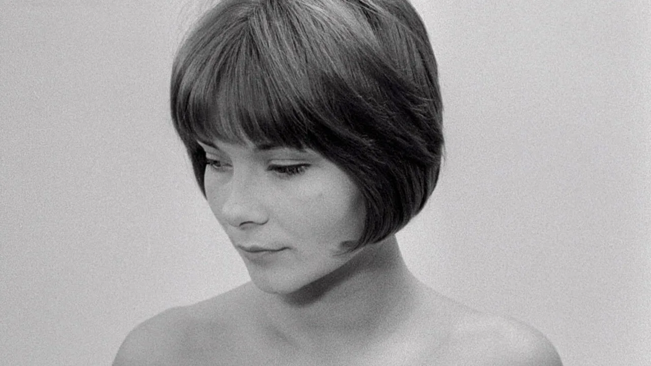 The Married Woman (1964)