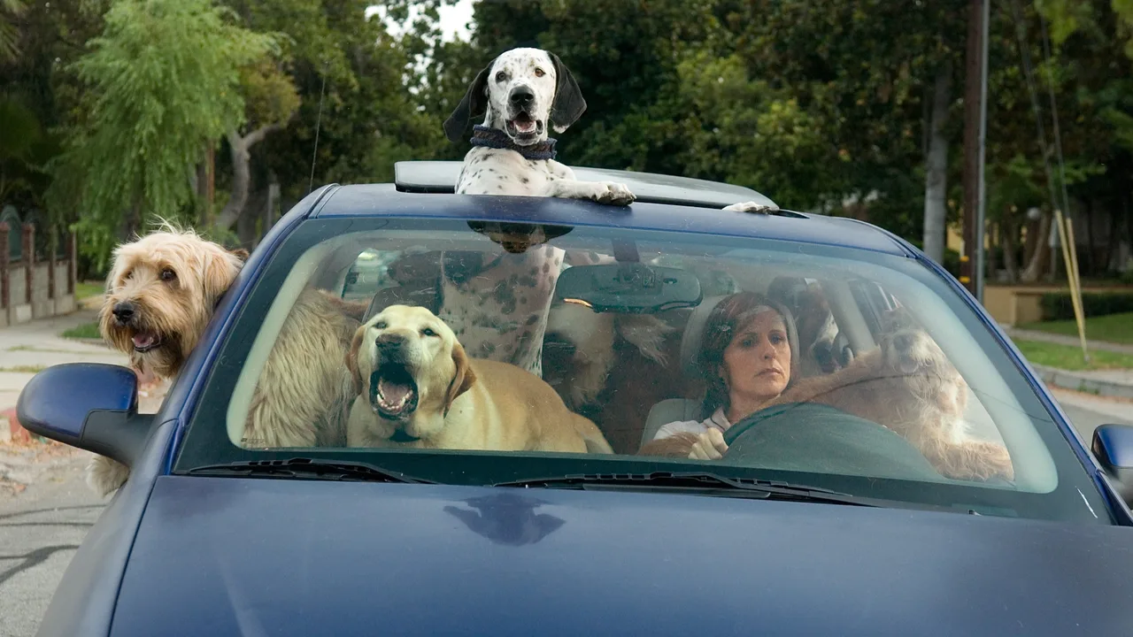 Year of the Dog (2007)