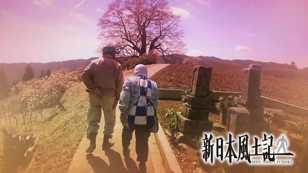 Shin Nihon Fudoki (2011)
