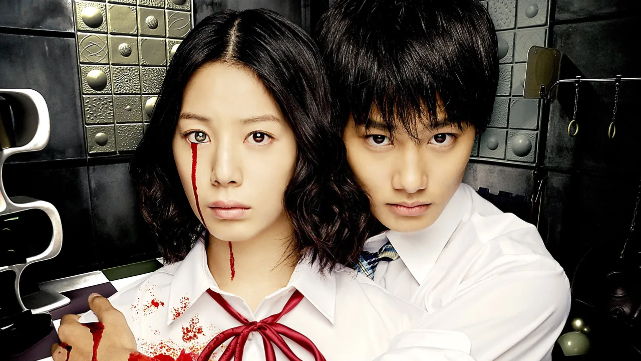 Puzzle (2014)