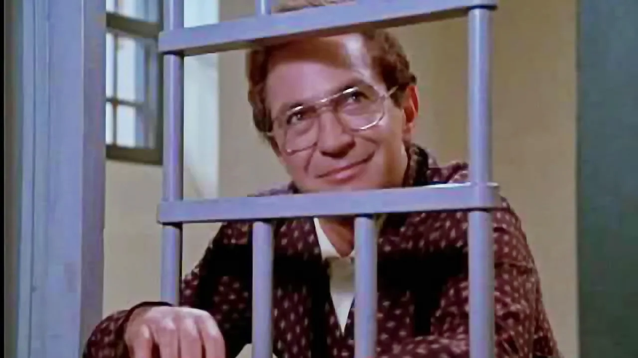 The Professor (1986)