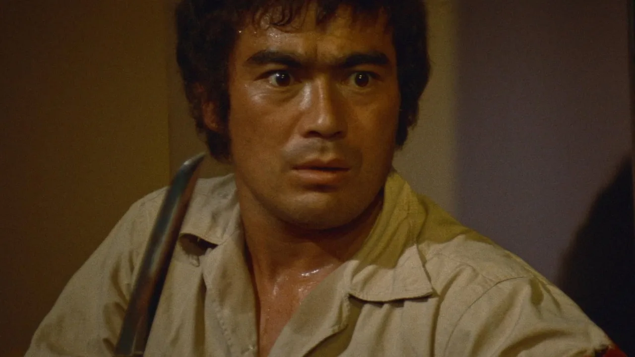 Karate Bullfighter (1975)