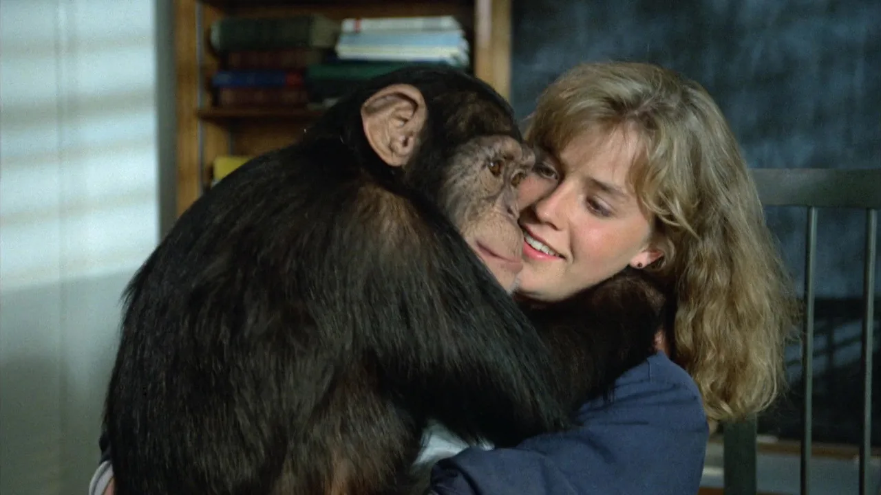 Link (1986)