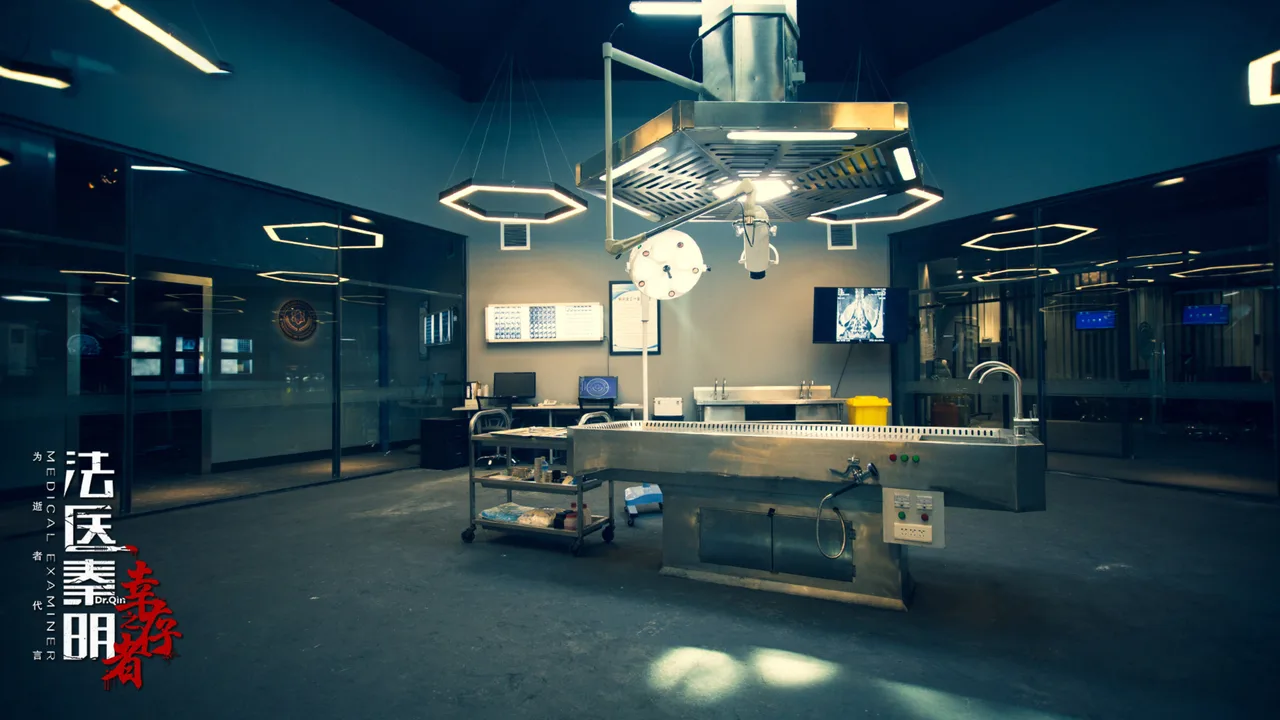 Medical Examiner Dr. Qin: The Survivor (2018)