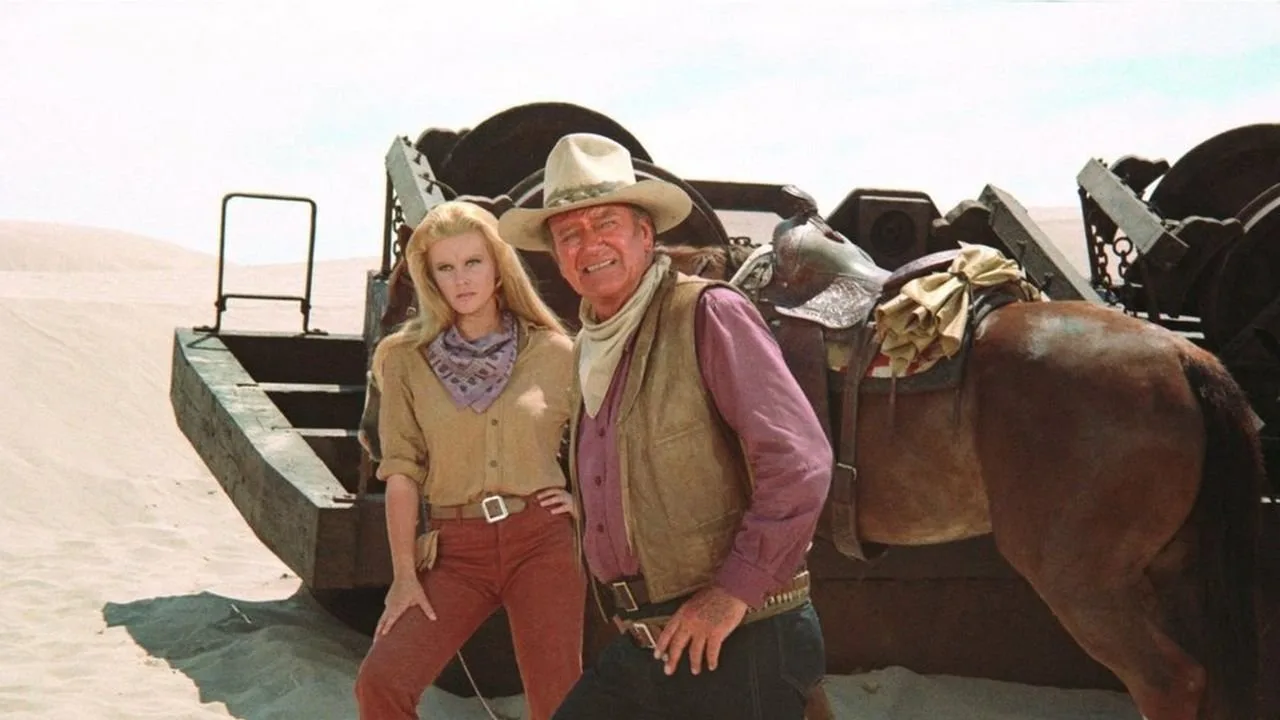 The Train Robbers (1973)