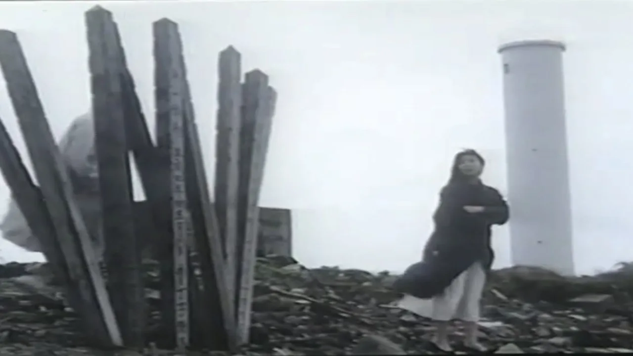 Molester Train: Mischievous Wives (1992)