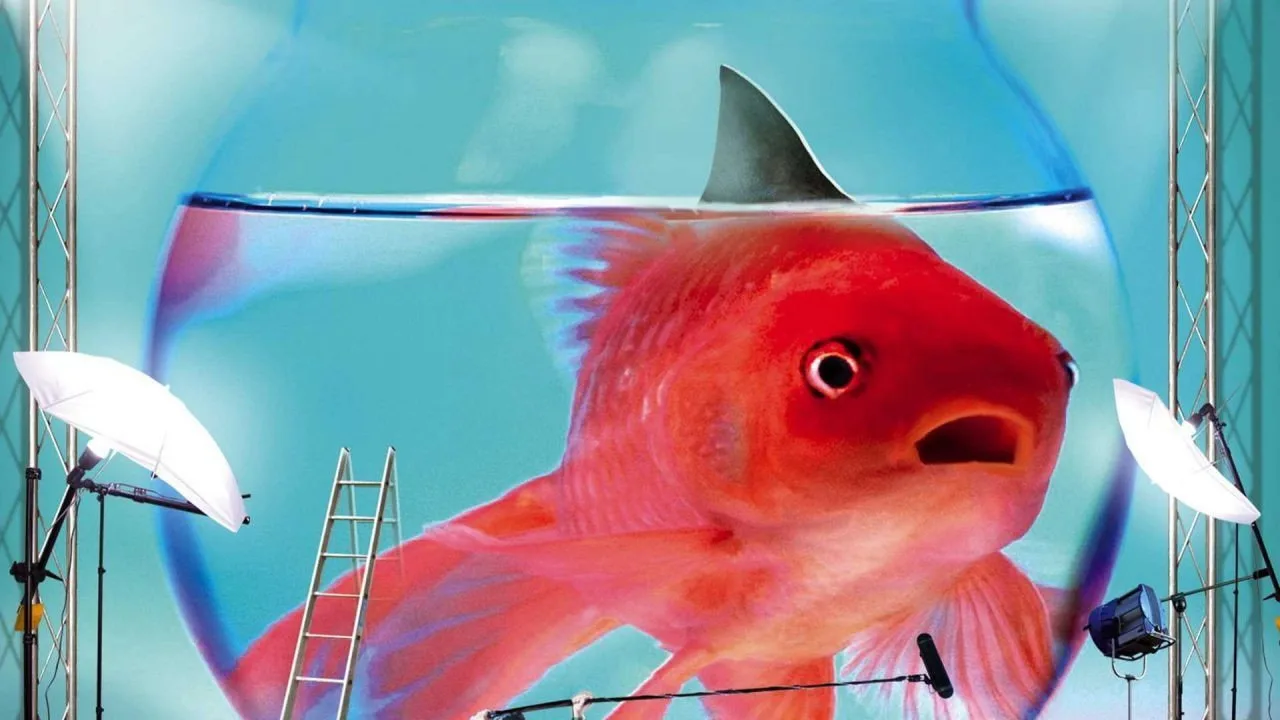 Boris (2007)