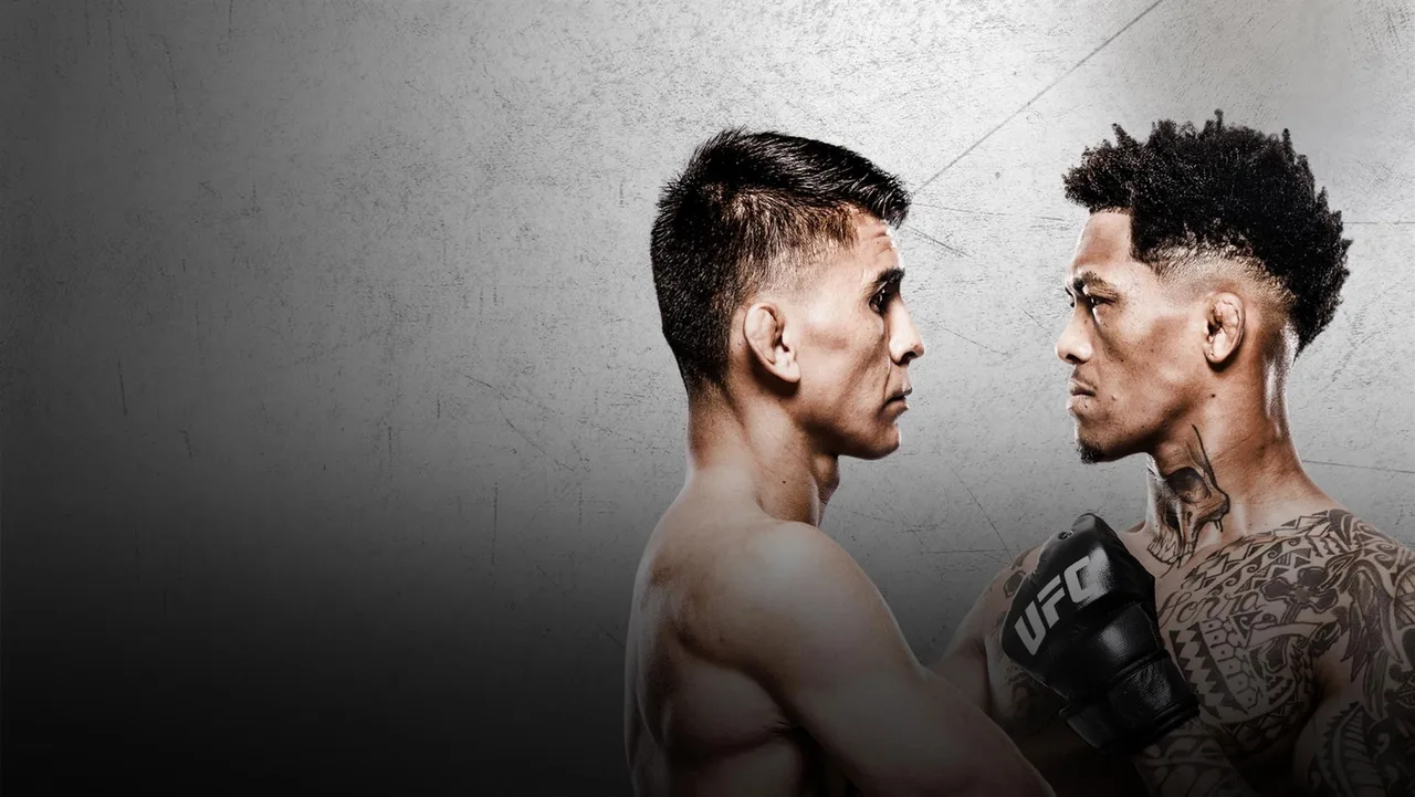 UFC Fight Night 266: Bautista vs. Oliveira (2026)