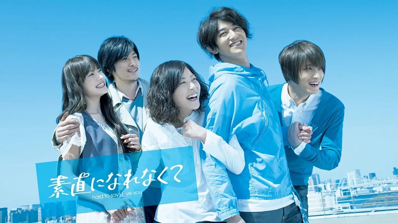 Hard to Say I Love You (2010)