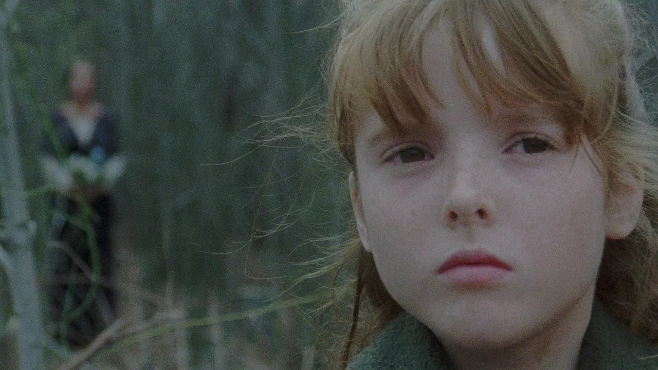 The House by the Cemetery (1981)