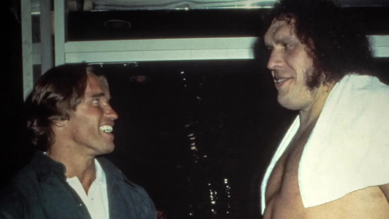 Andre the Giant (2018)