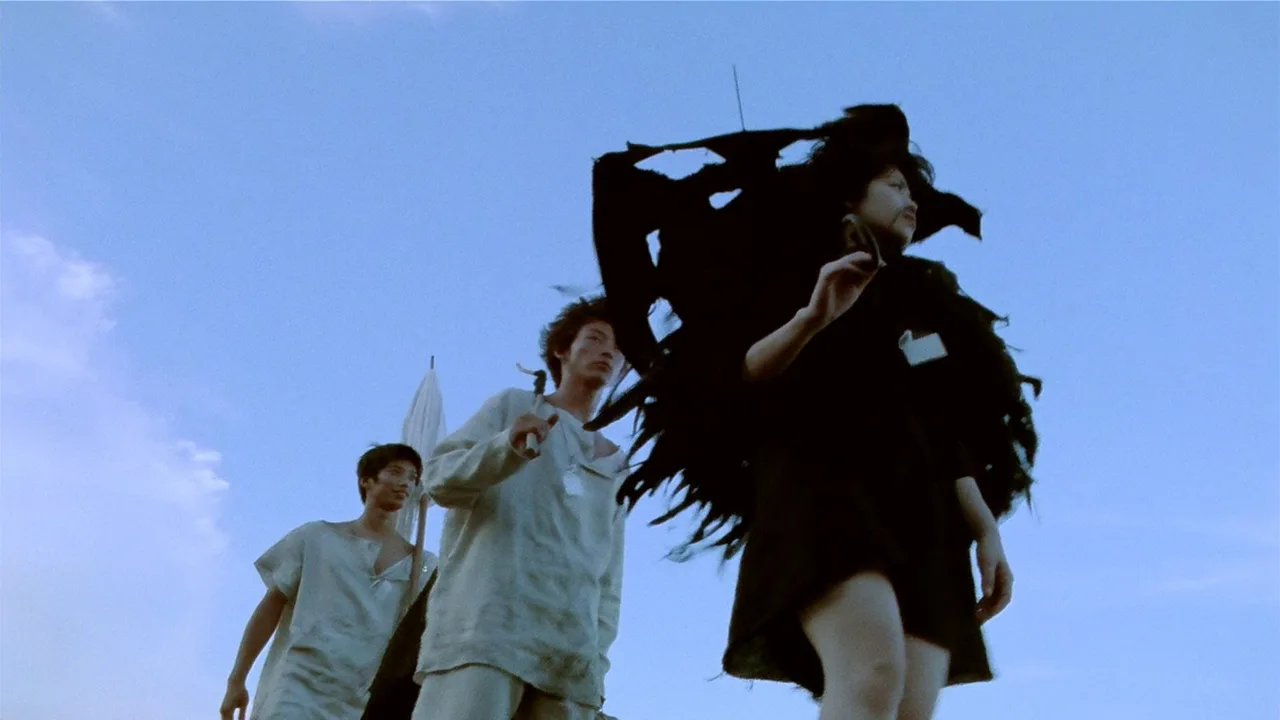 Picnic (1996)