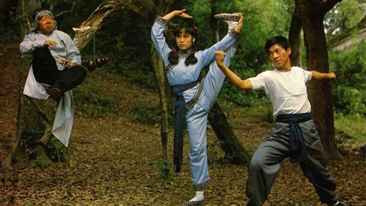 The Story of the Drunken Master (1979)